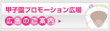 甲子園プロモーション広場広告のご案内